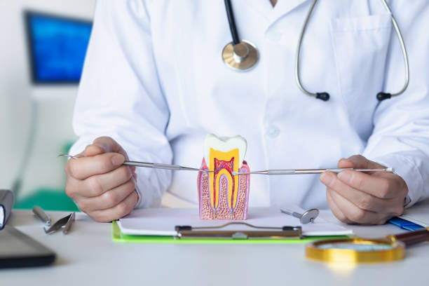 Best Emergency Root Canal Therapy in New Hackensack, NY